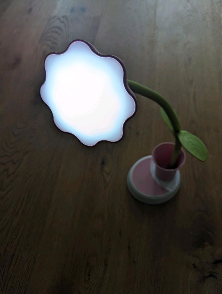 Led Schreibtischlampe Blume in Ansbach
