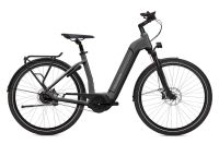 Flyer e-bike Gotour6 3.40 mit großem Akku 625Wh - L - 53 cm - 1650 € REDUZIERT - 50Nm - 625Wh - qwe Köln - Braunsfeld Vorschau