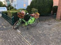 Gazelle Fahrrad Nordrhein-Westfalen - Lünen Vorschau