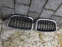 BMW  Kühlernieren gebraucht in M Look ab Bj 2011 bis 2015 1 Reihe Kr. Altötting - Reischach Vorschau