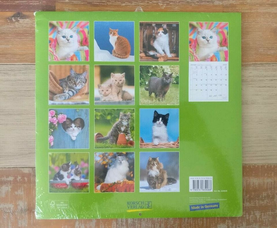 Cats Katzen Bilder Kalender 2020 Korsch Verlag in Leingarten