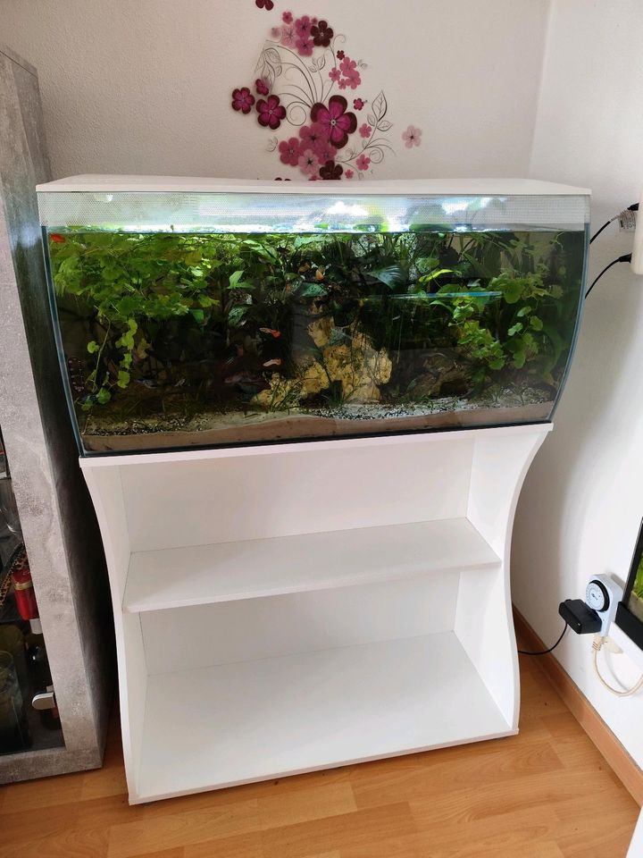 Flex Aquarium 123 Liter mit Unterschrank in Plauen