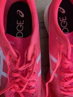 Asics Metaspeed Edge + (Plus) Größe 48 Niedersachsen - Bad Münder am Deister Vorschau