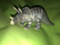 Schleich Triceratops 14504 Nordrhein-Westfalen - Nordwalde Vorschau