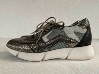 MJUS Schnür Schuhe Sneaker Größe 37 Nürnberg (Mittelfr) - Oststadt Vorschau