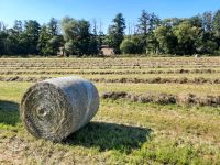 Heulage Ballen Rheinland-Pfalz - Niederhausen a.d. Appel Vorschau