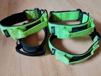 Vitomalia Halsband Hundehalsband mit Griff Niedersachsen - Lehrte Vorschau