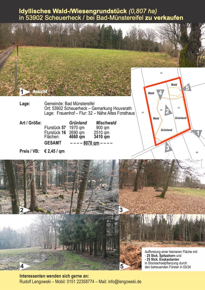 Idyllisches Wald-/Wiesengrundstück (0,8 ha) in 53902 Scheuerheck in Bad Münstereifel