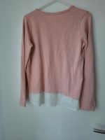 Blusen Pullover Gr 158 Nordrhein-Westfalen - Paderborn Vorschau