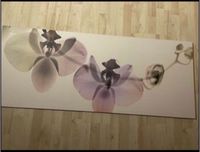 Orchideen Bild von Ikea Niedersachsen - Hatten Vorschau