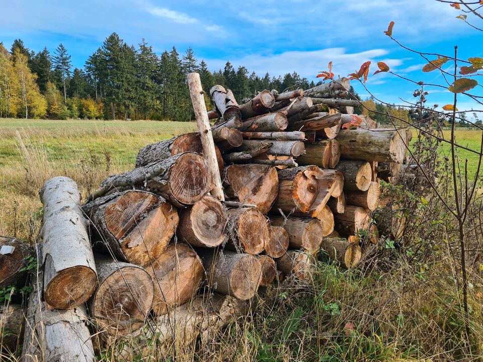 Brennholz Fichte Feuerholz 1m Stämme in Eichigt