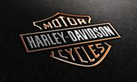 Harley Davidson USA Kanada Import TÜV Vollabnahme § 21 Nordrhein-Westfalen - Mönchengladbach Vorschau