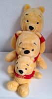 Winnie the Pooh Plüschtiere/Kuscheltiere Hessen - Kassel Vorschau