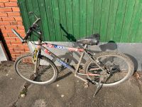 Fahrrad Mountainbike 26 Zoll Nordrhein-Westfalen - Petershagen Vorschau