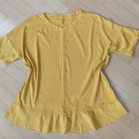 Schönes Marc Cain Shirt Gr.N6/44 Top! Baden-Württemberg - Radolfzell am Bodensee Vorschau