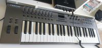 Nektar LX 49+ Master keyboard USB Berlin - Spandau Vorschau