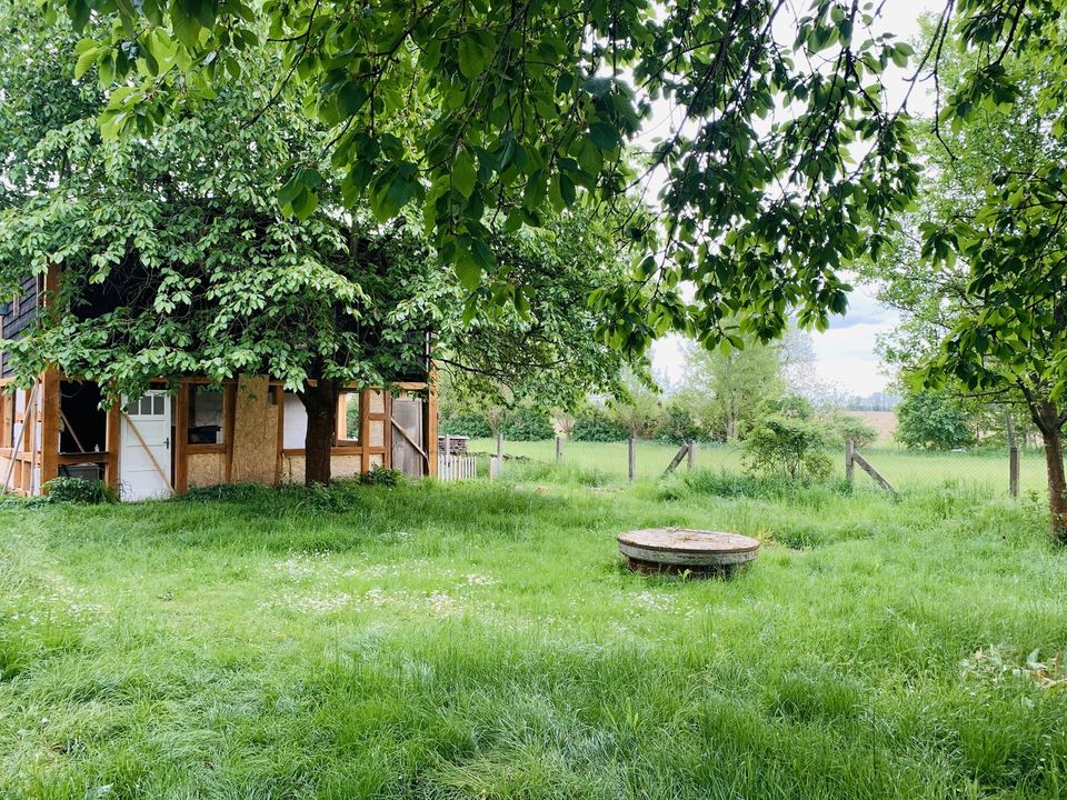 Freistehendes Einfamilienhaus im Grünen mit großer Scheune, Stallgebäude und Garten in Falkenberg