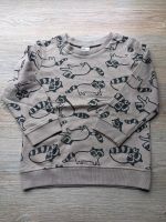 H&M Set Racoon Waschbär Pullover Jogginghose Bär Wald 98 104 Sachsen - Weißwasser Vorschau