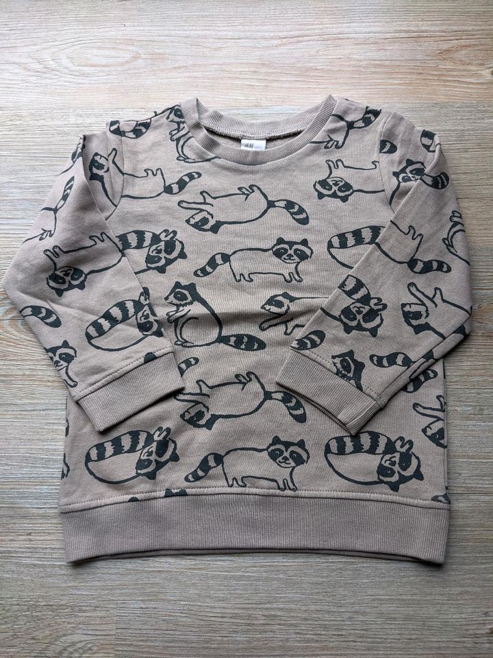 H&M Set Racoon Waschbär Pullover Jogginghose Bär Wald 98 104 in Weißwasser