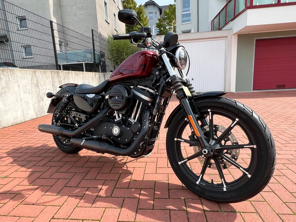 Harley Davidson Iron 883 ABS in Herne