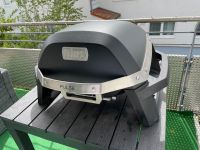 Weber Pulse 2000 / iGrill-Technologie + Zwei Zonen Grillsystem Hessen - Hochheim am Main Vorschau