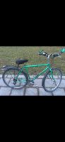 Fahrrad 28“ Trekking / City/ Cross / Gudereit Sachsen - Chemnitz Vorschau