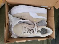 Puma Beige gr 40 NP 99,95€ Feldmoching-Hasenbergl - Feldmoching Vorschau