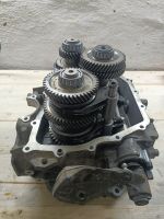 OPEL M32 Getriebe Instandsetzung/Reparatur/Generalüberholung Mecklenburg-Vorpommern - Proseken Vorschau
