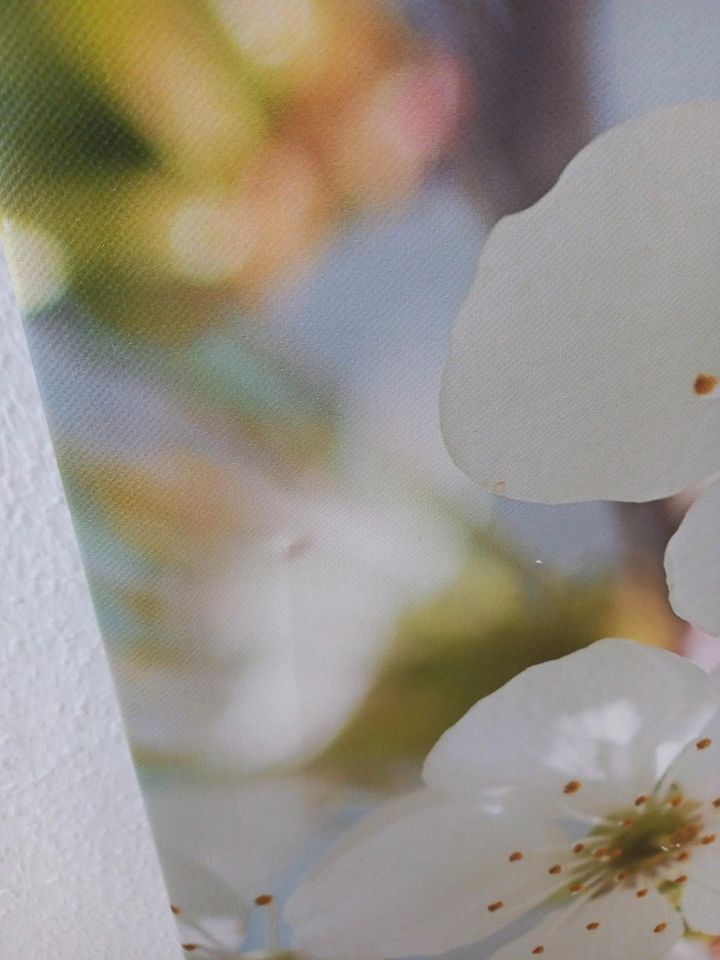 Ikea Leinwand, Blumen, Jasmin, grüne Blätter in Köln