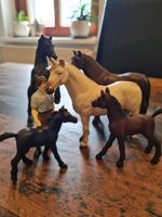 Schleich Sammler Set Sachsen-Anhalt - Haldensleben Vorschau