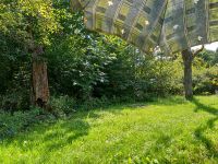 Garten Grundstück in Pettstadt zu pachten gesucht Bayern - Bamberg Vorschau