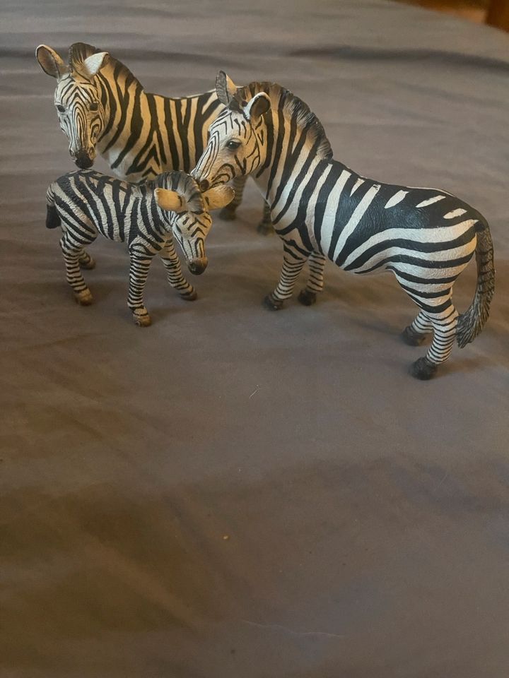 Diverse Schleich Tiere und Zubehör in Struvenhütten