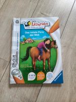 Tip Toi Leserabe "Das tollste Pony der Welt" *neuwertig* Bayern - Langenbach Vorschau