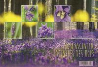 Belgien Block 210** Wald in der Blüte - Blaue Glockenblumen Flora Nordrhein-Westfalen - Kamen Vorschau