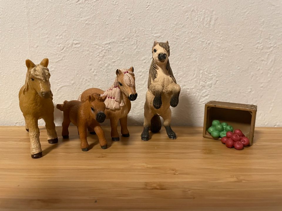 Schleich Shetty Familie in Bobenheim-Roxheim