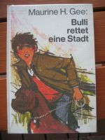 Spannendes Jugendbuch „Bulli rettet die Stadt“ Bayern - Unterleinleiter Vorschau