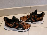 Nike Leopard Sneaker Gr 39 Hessen - Groß-Rohrheim Vorschau