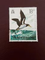 Ascension Island Seevogel Ornithologie /103 Niedersachsen - Holtgast Vorschau