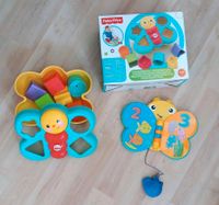 Set Fisher-Price Sortierspiel, Badewannenspielzeug, Krabbel-Ball Sachsen - Großenhain Vorschau