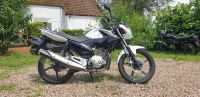 Yamaha YBR125 RE05 Einsteiger-Motorrad Gepäckträger B196 geeignet Nordrhein-Westfalen - Werther (Westfalen) Vorschau