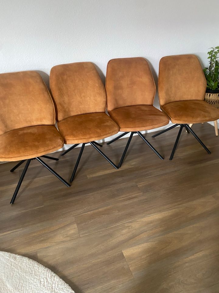 Esszimmer Stühle in Mannheim