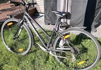 Specialized Vita, sehr leicht, Fahrrad, Damenmodell Bayern - Mainaschaff Vorschau