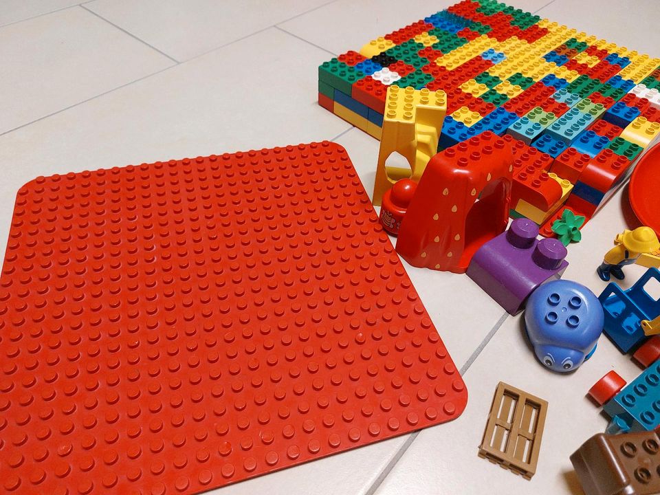 Grosses Lego Duplo Set ca. 350 Teile in Bischweier