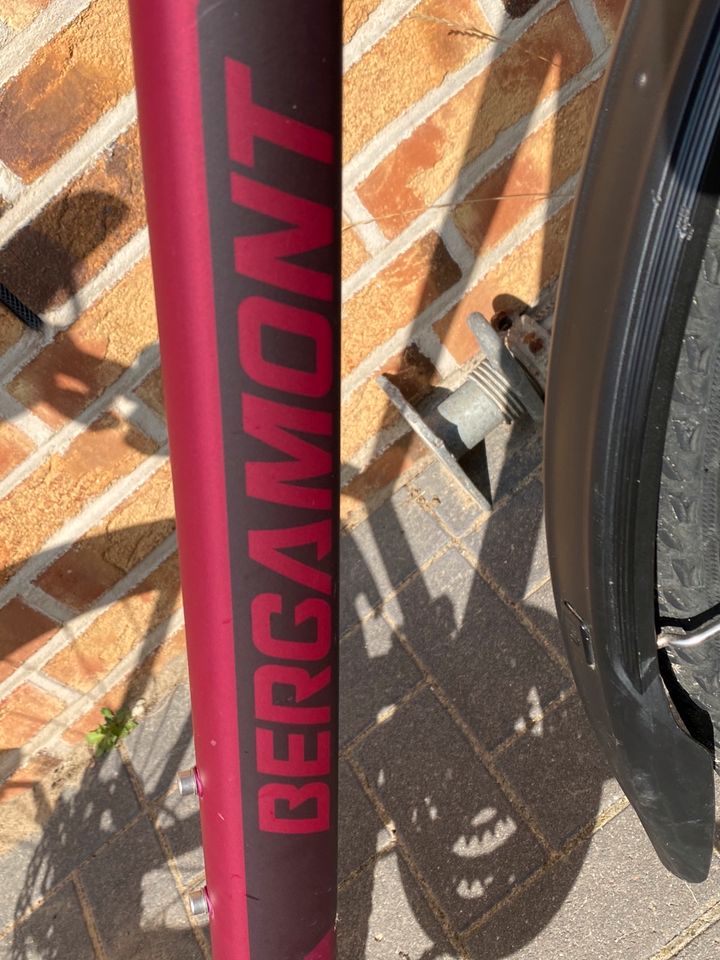 Bergamont Damenfahrrad, Fahrrad, Cross, SONDERFARBE: Berry in Apensen