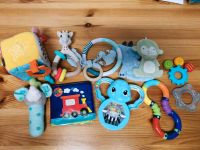 Baby Spielzeug 13 Teile Rheinland-Pfalz - Mengerschied Vorschau