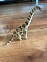 Schleich Dinosaurier Brachiosaurus Sachsen-Anhalt - Dannefeld Vorschau