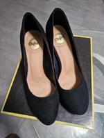 Buffalo pumps Rheinland-Pfalz - Worms Vorschau
