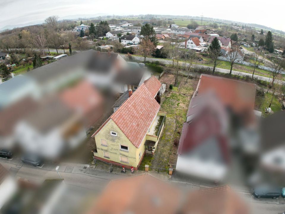 Provisionsfrei - 723m² Baugrundstück mit Abrissobjekt – Gestalten Sie Ihr Traumhaus in bester Lage! in Biblis