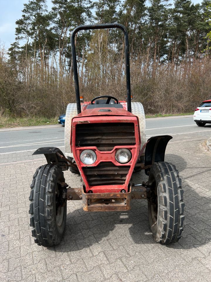 Massey Ferguson 174 - S Schmalspur Obstbau Traktor Schlepper in Marl