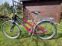 Puky Kinderfahrrad 24 Zoll Brandenburg - Schönborn Vorschau